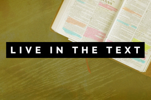 Live in the Text resources graphic